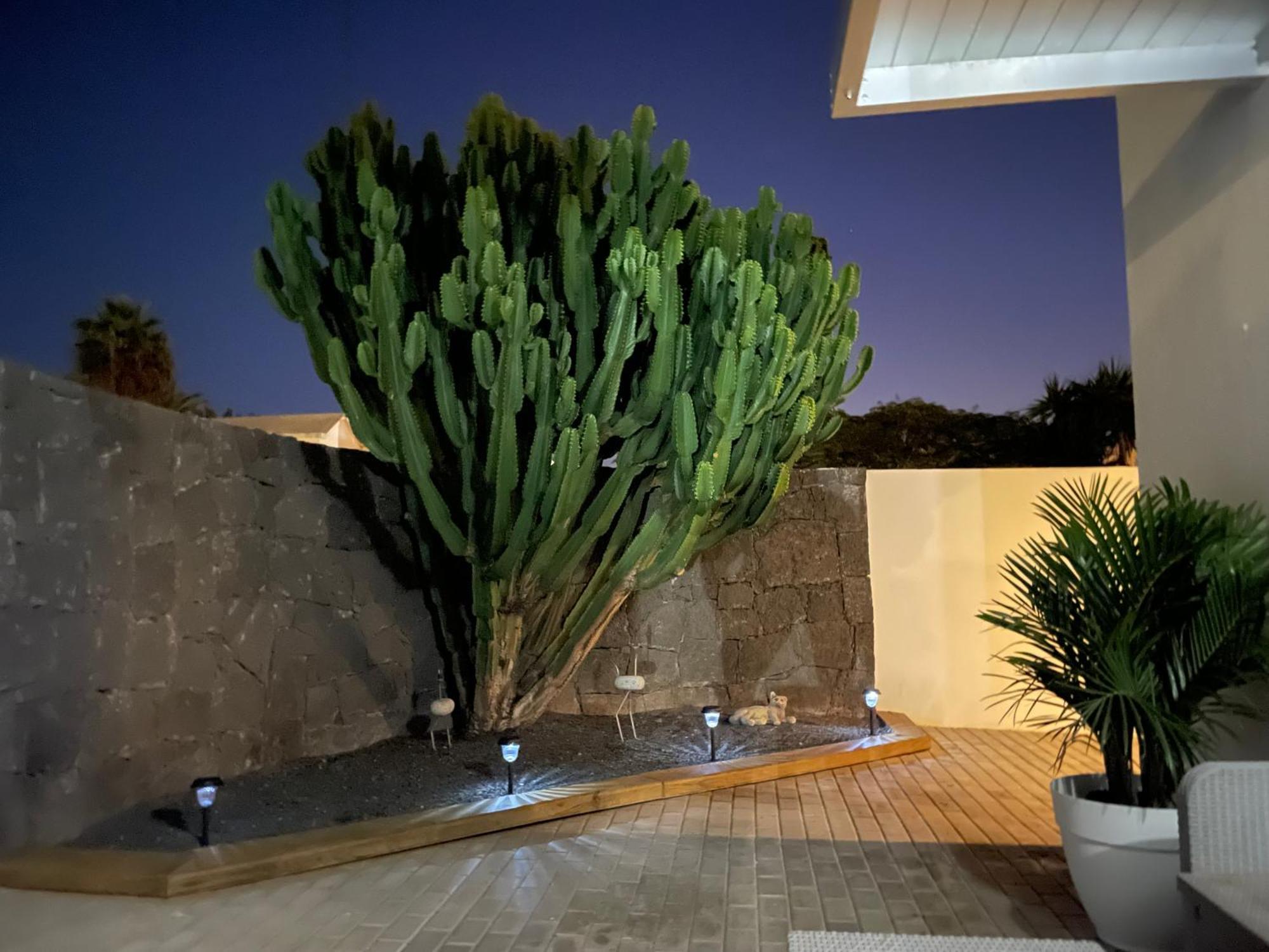 Grey By Vulcano Homes * Tahiche