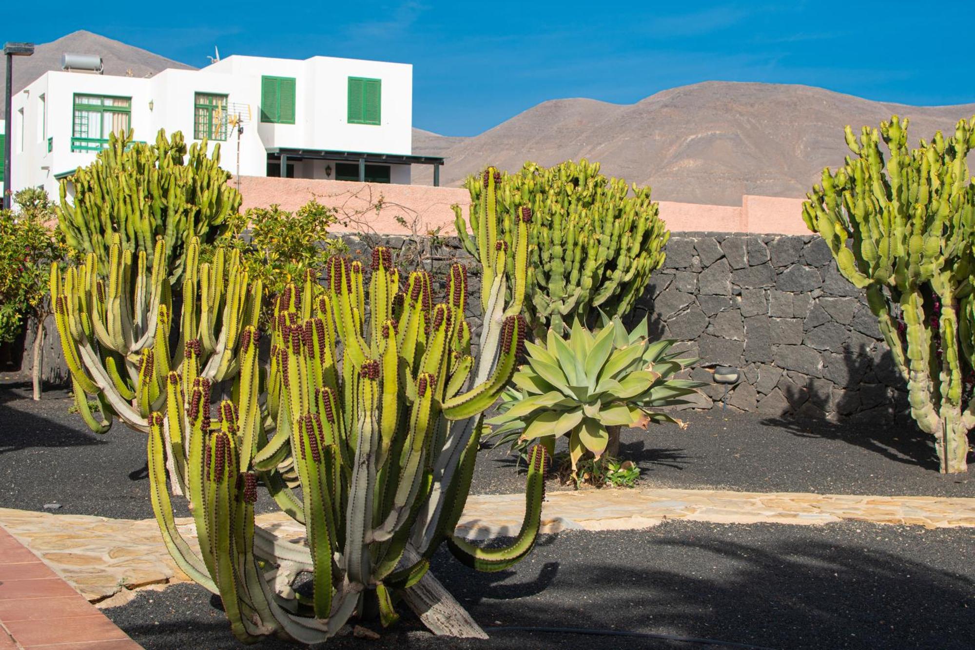 Papagayo Lanzarote Villa *