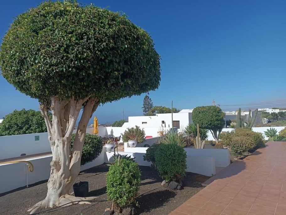 Lilli - La Maison De La Danse * La Asomada (Lanzarote)