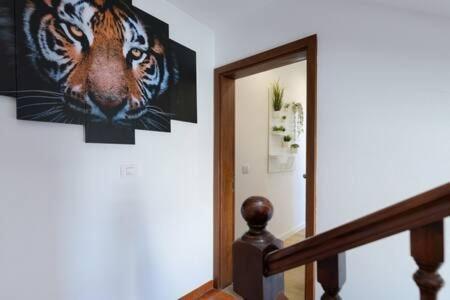 Apartamento Juanipa La Santa