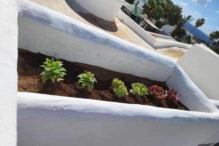 Fantastico Con Terraza Y Vistas Al Mar *