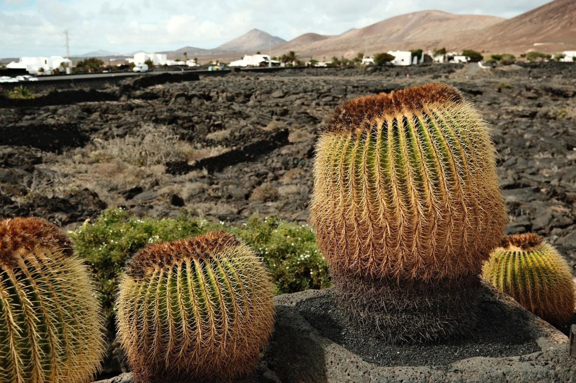 Casa Layka, Con Maravillosas Vistas Al Mar Apartamento La Asomada (Lanzarote)