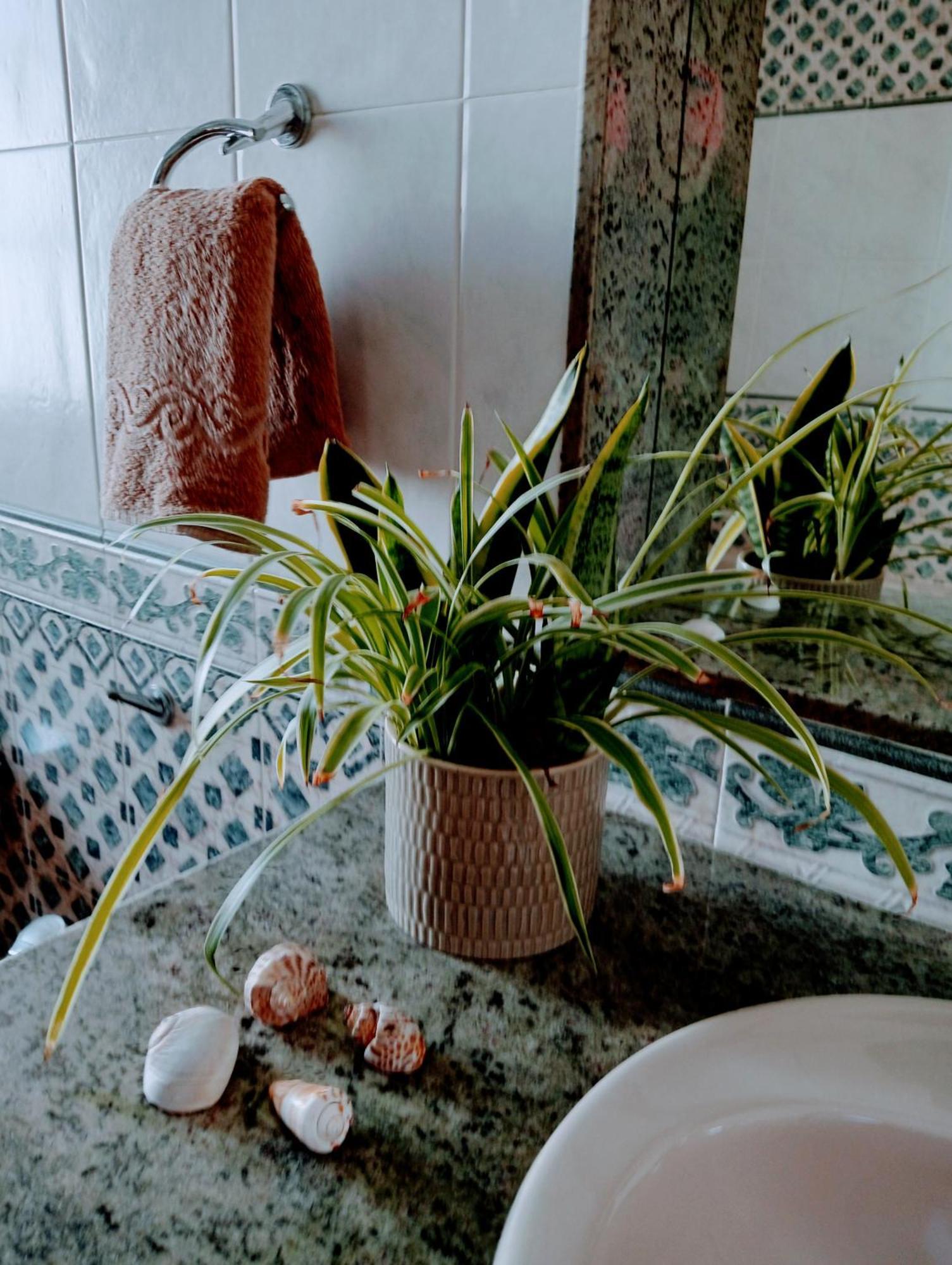 Casa Strelitzia Villa Nazaret