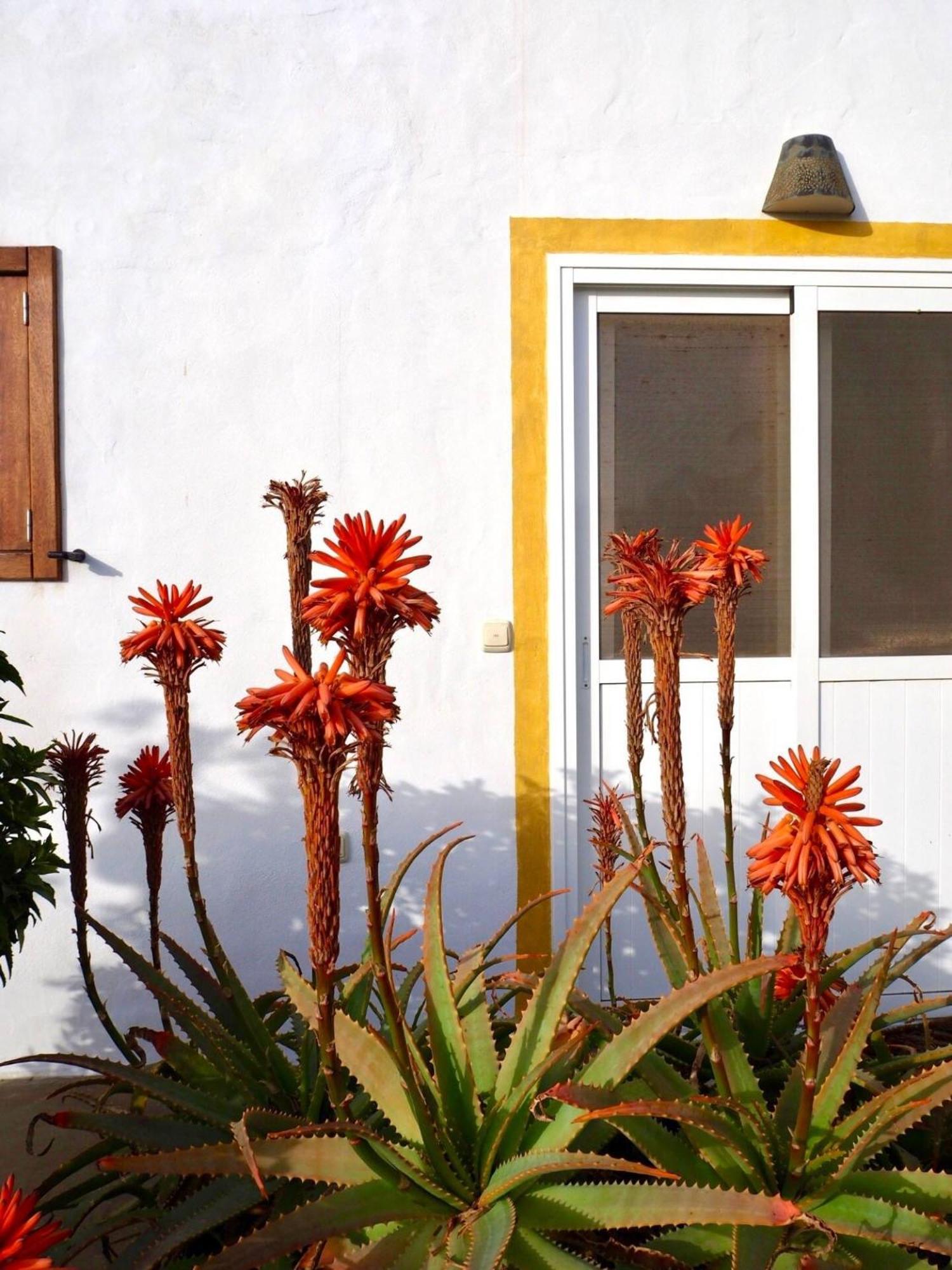 Casa Jenabe Villa *