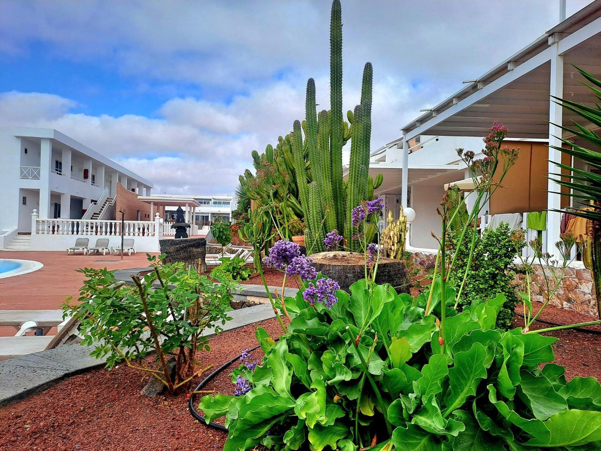 Apartment Beautiful Sunset Lanzarote Costa Teguise