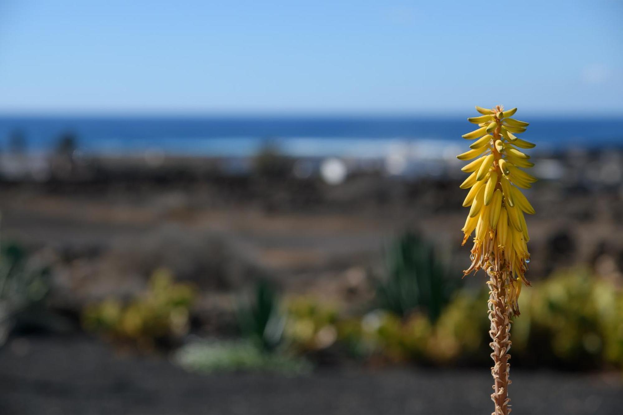 Casa Sas La Hoya Yaiza (Lanzarote)