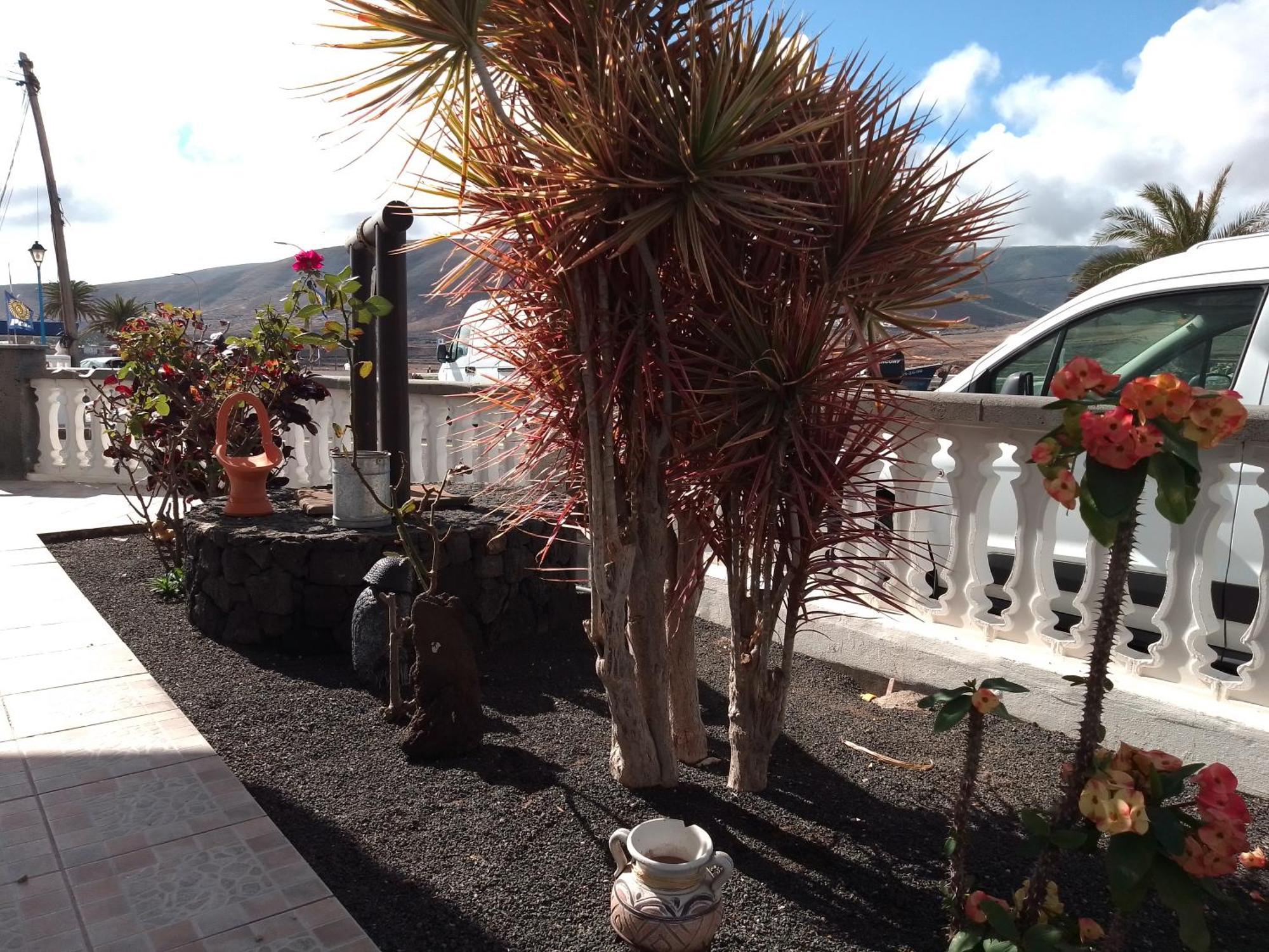 El Mirador * Arrieta (Lanzarote)