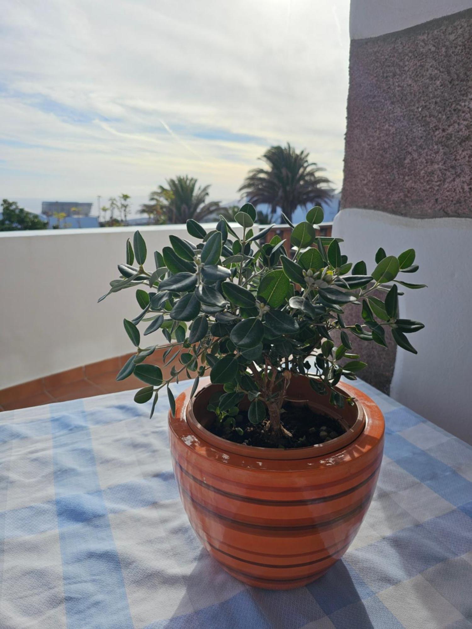 Casa Layka, Con Maravillosas Vistas Al Mar *