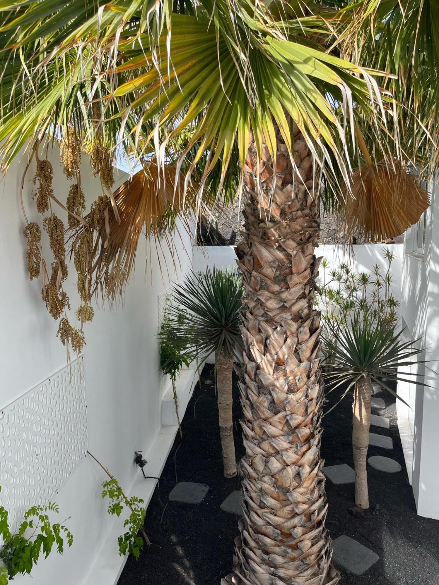 Del Mar Lanzarote - Luxury Beachhouse Arrecife (Lanzarote)