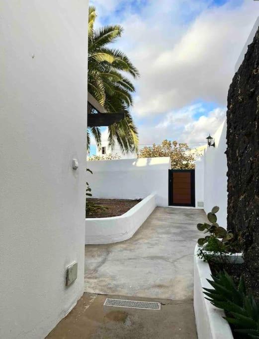 23 Volcano Zarote *