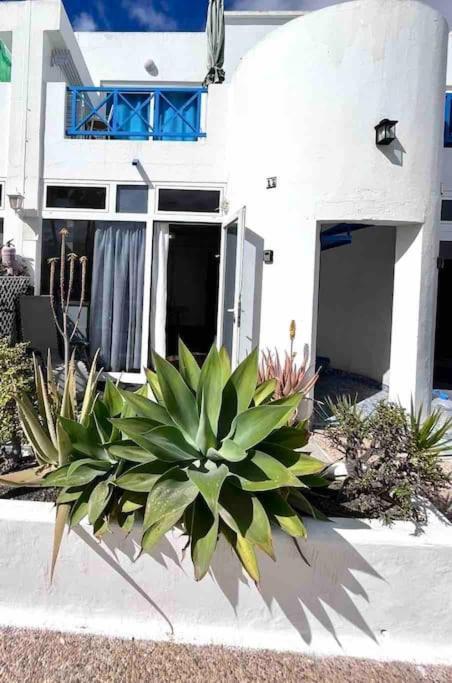 17 Puerto Del Carmen Blueshark Puerto del Carmen (Lanzarote)
