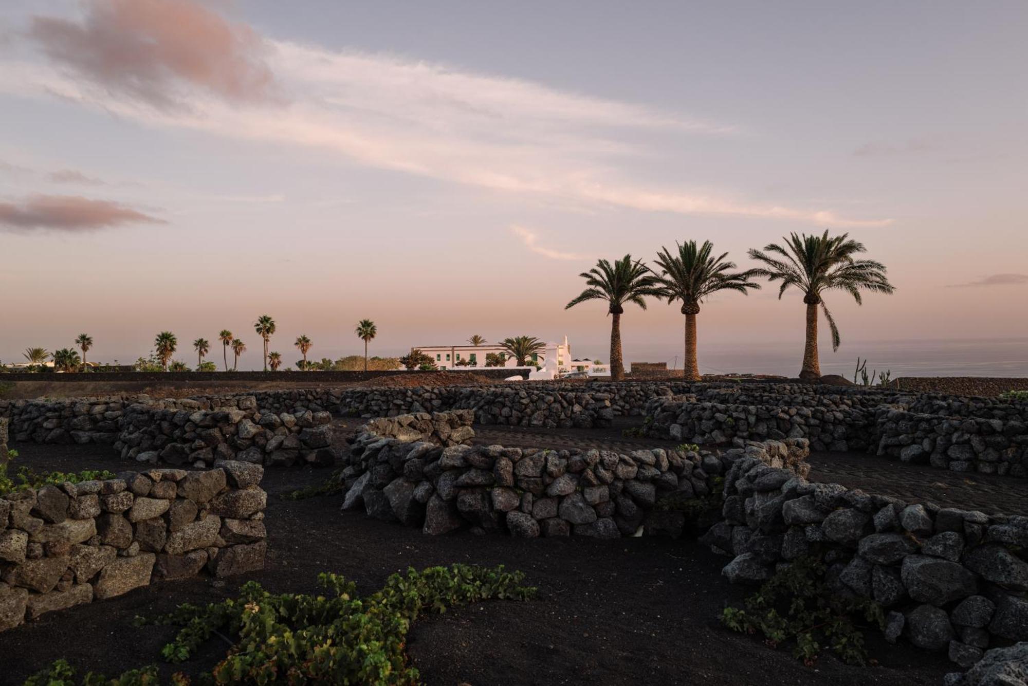 Cesar Lanzarote Luxury Boutique - Adults Only 5* La Asomada (Lanzarote)