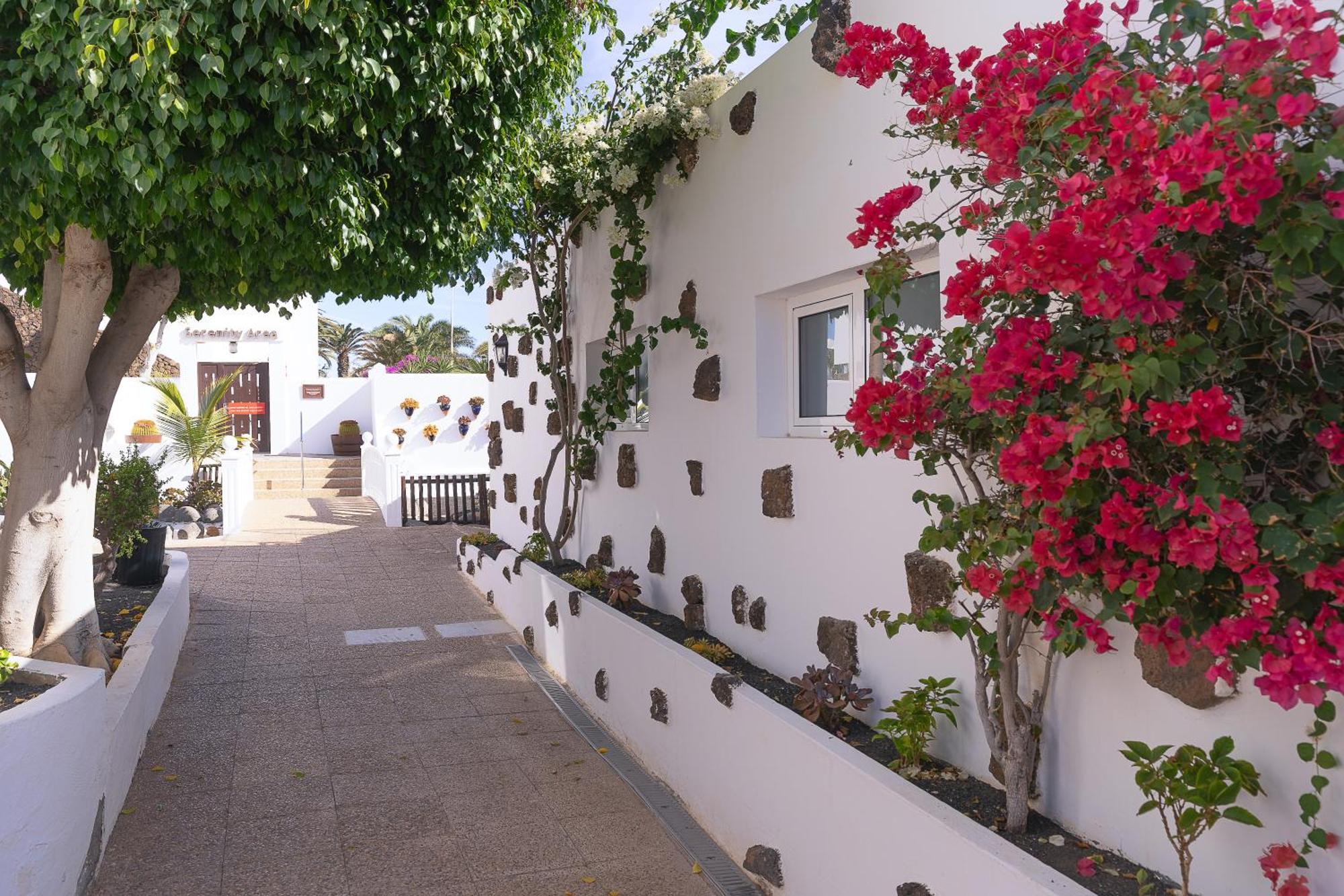 Apartahotel Siroco - Adults Only 18 Costa Teguise