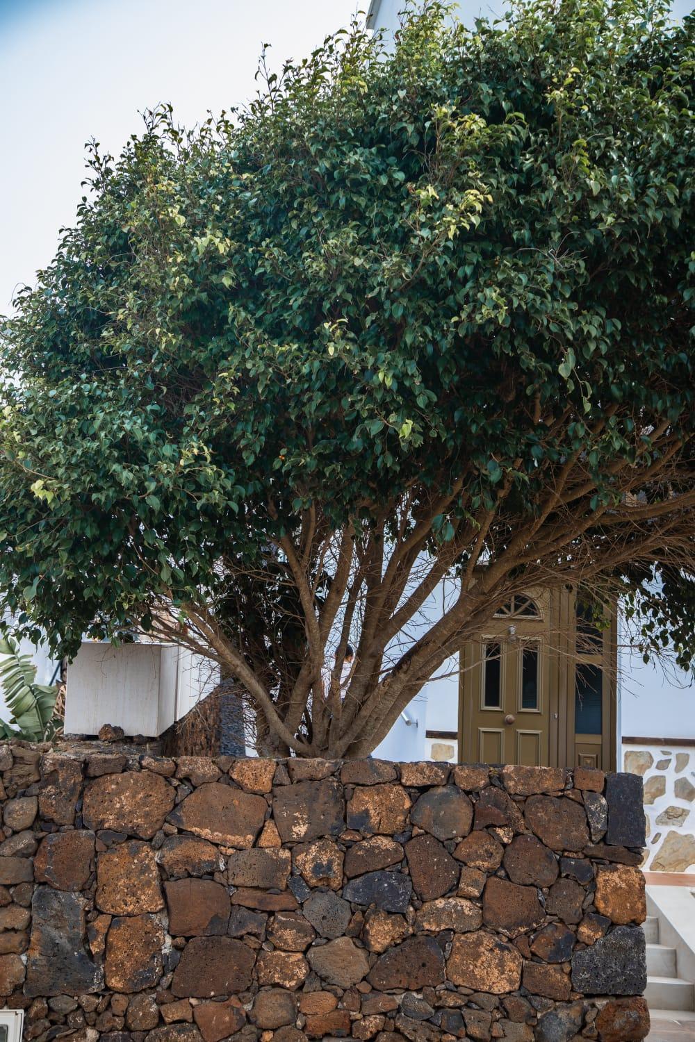 Holiday home Casa Volcan De Caldera Blanca *