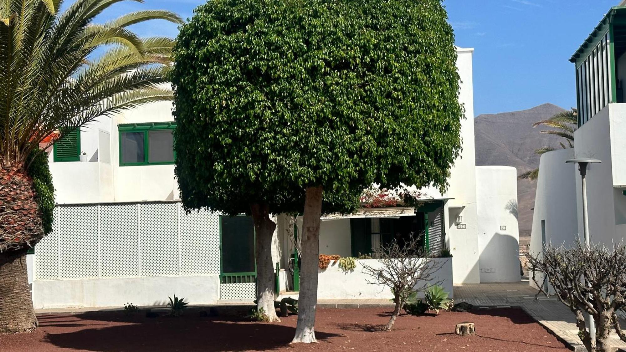 Casa Oasi Apartamento *