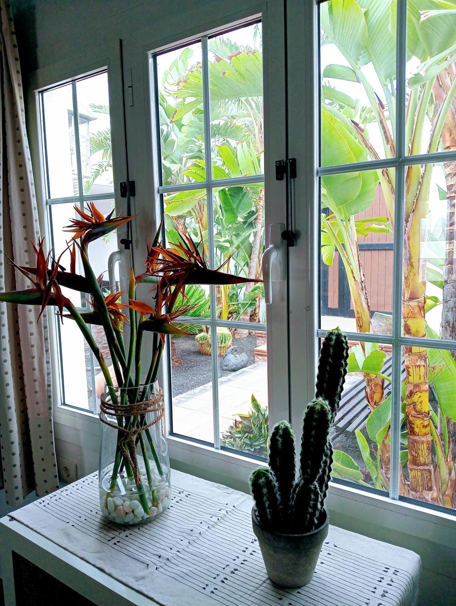 Casa Strelitzia *