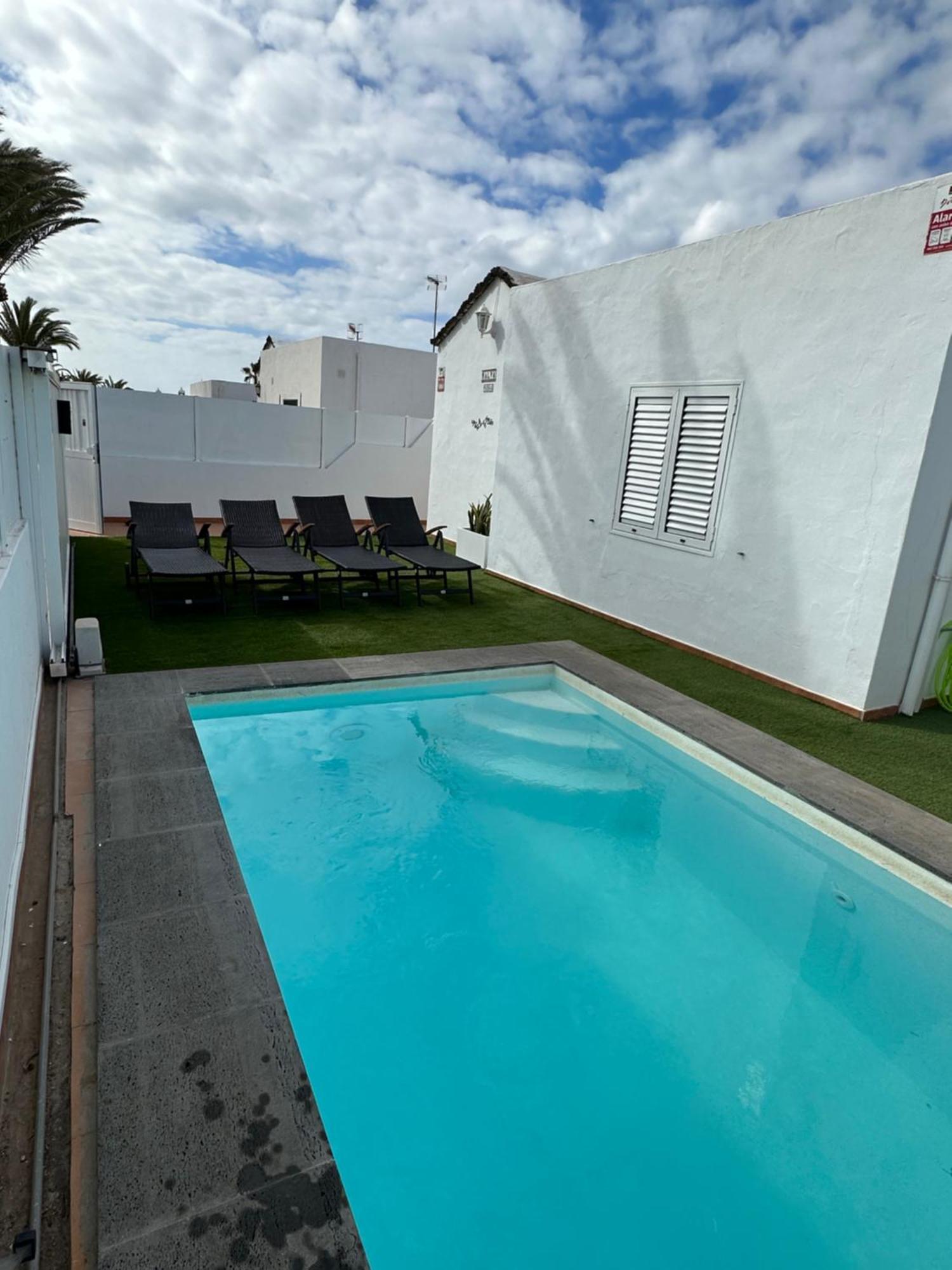 Malva Puerto del Carmen (Lanzarote)