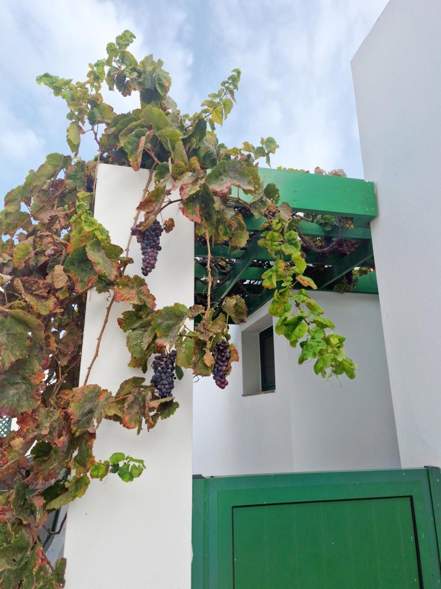 Casa Maracuya Сasa de vacaciones *