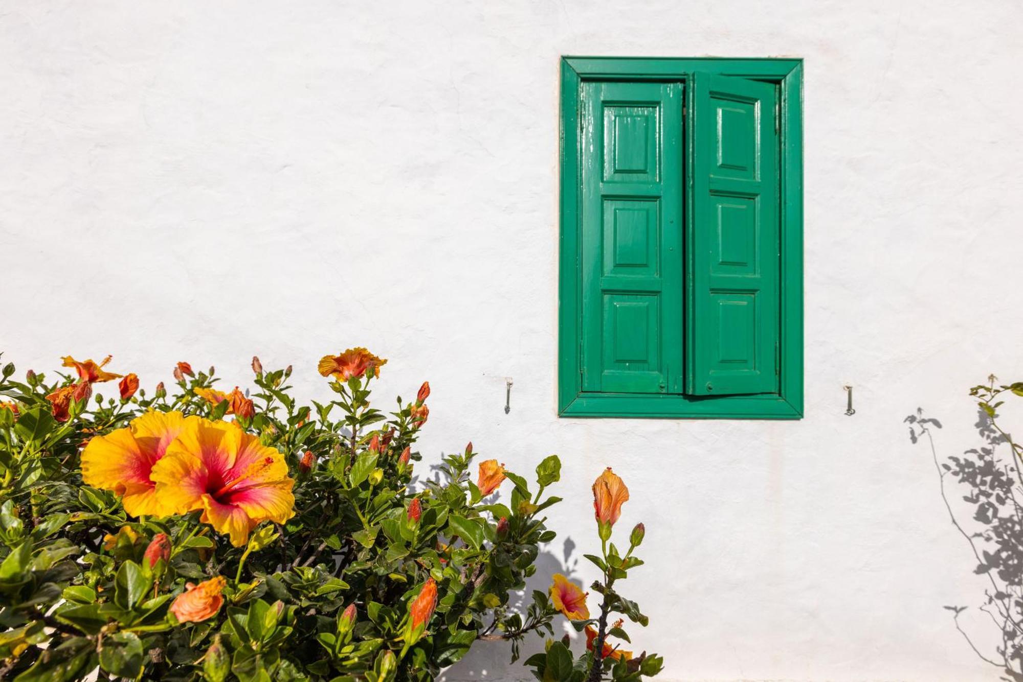 Holiday home Casa El Barranco *