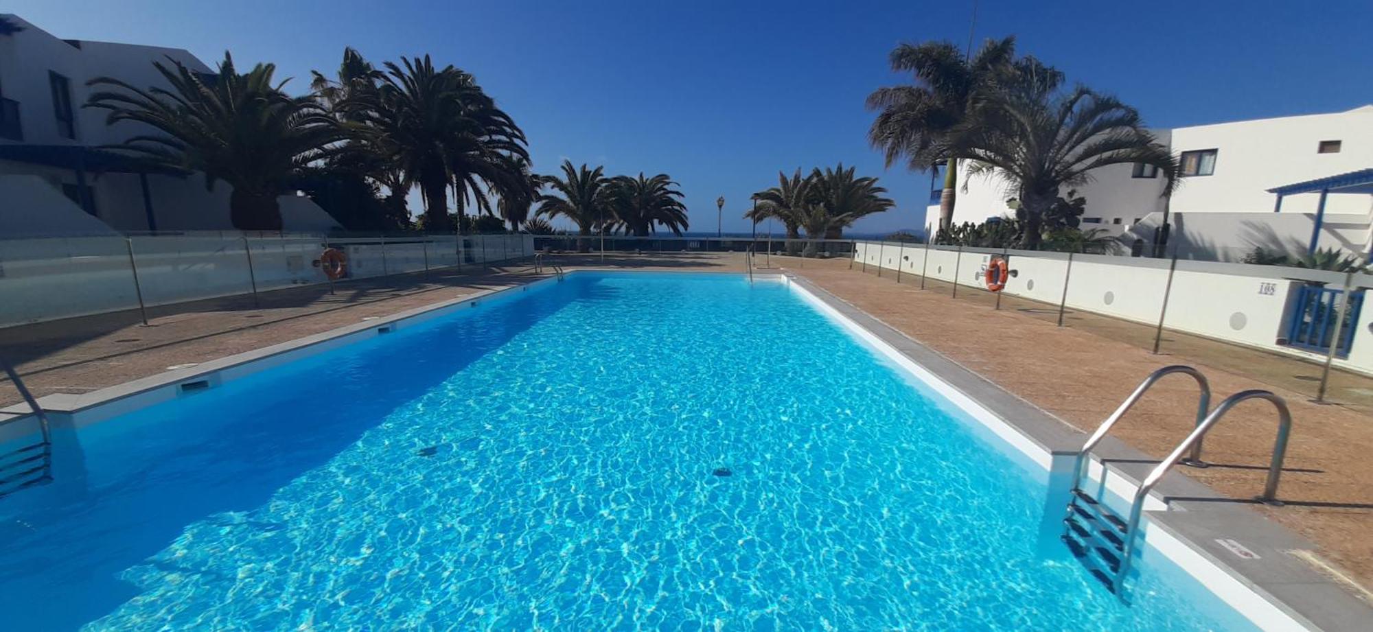 Suculenta Playa Blanca (Lanzarote)