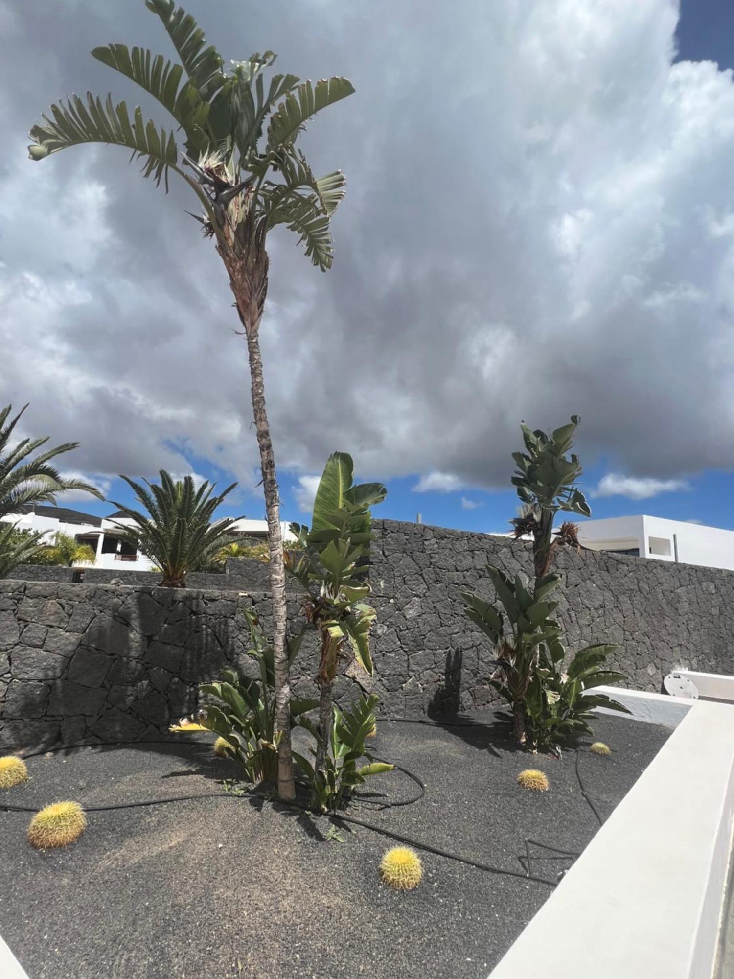 Dedalos - A Luxury Large With A Heated Pool In *