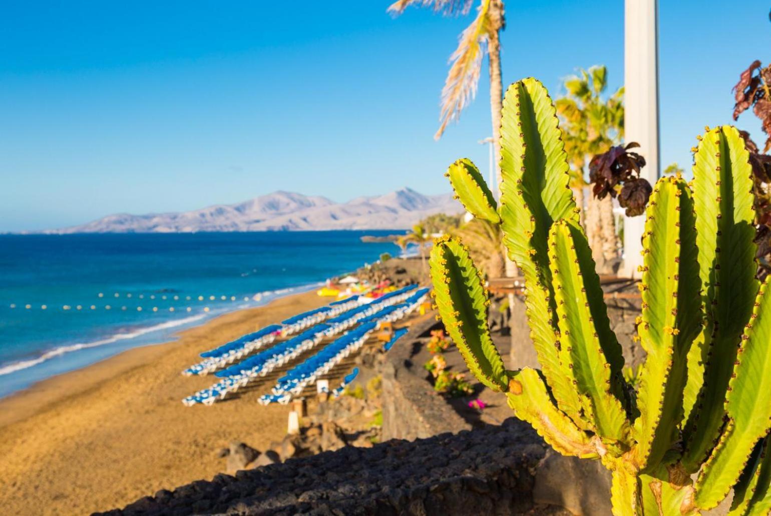 Apartamento Jardines 1 Puerto del Carmen (Lanzarote)