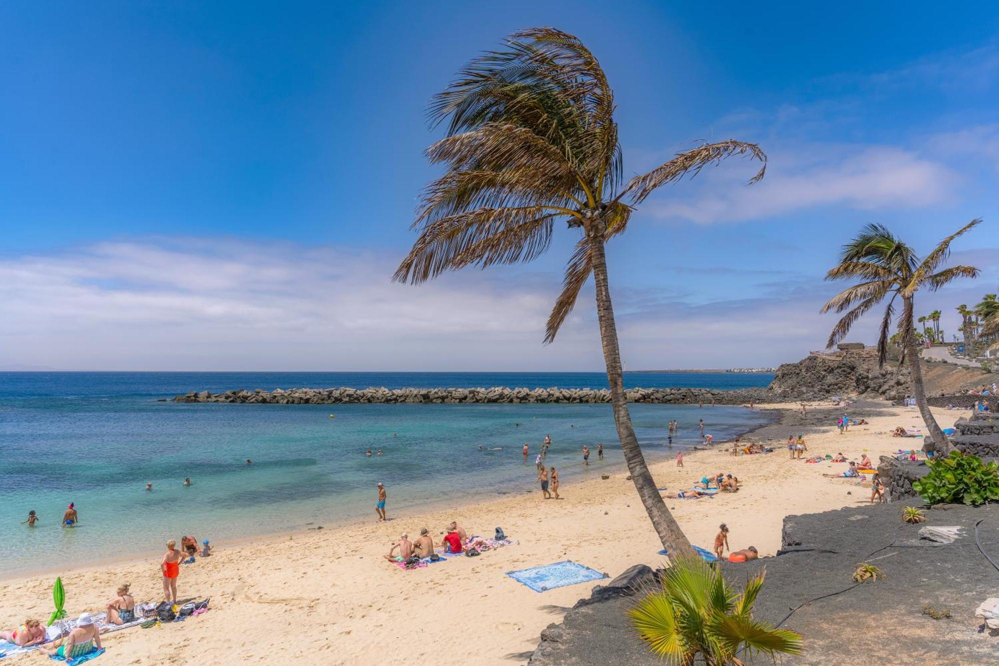 Playa Flamingo C Playa Blanca (Lanzarote)