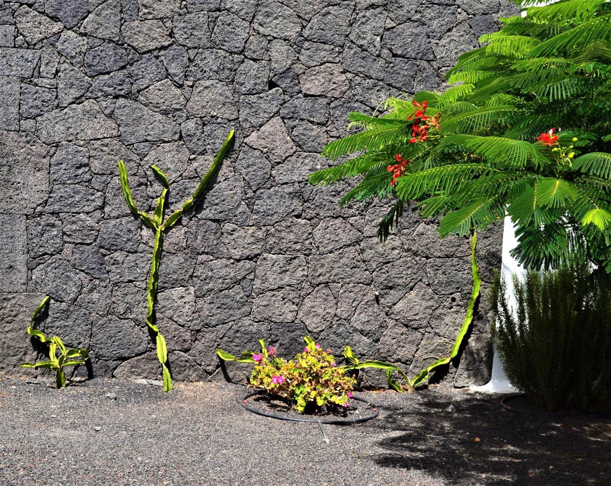 Villa Gran Famara Puerto Del Carmen Puerto del Carmen (Lanzarote)