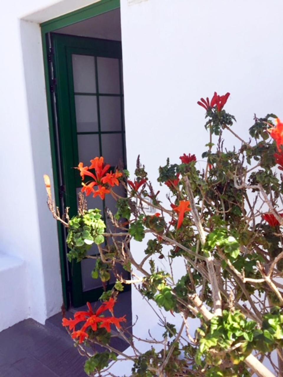 Matagorda Tias