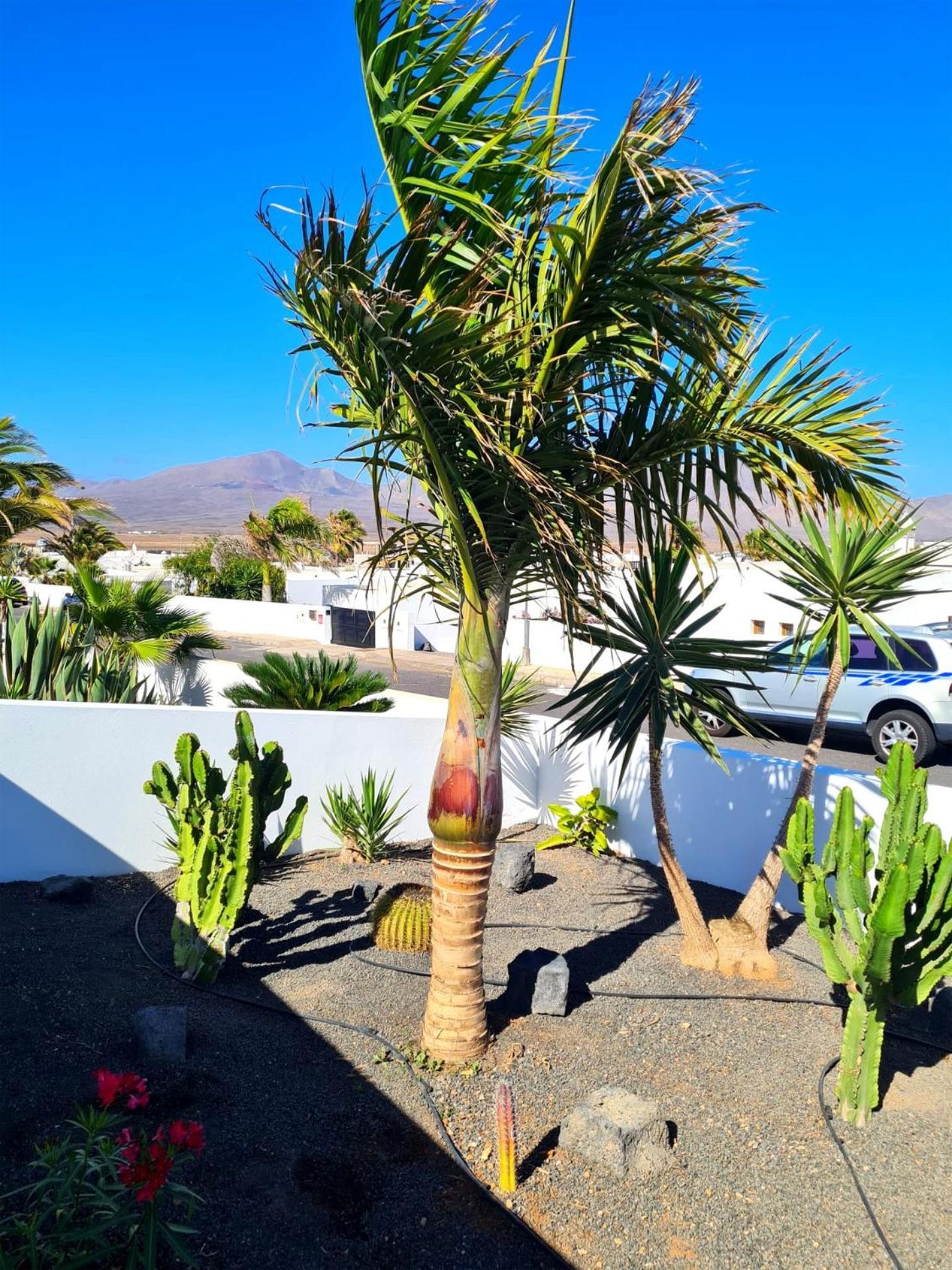 Villa Nitho - Heated Pool, Panoramic View, Privacy Playa Blanca (Lanzarote)