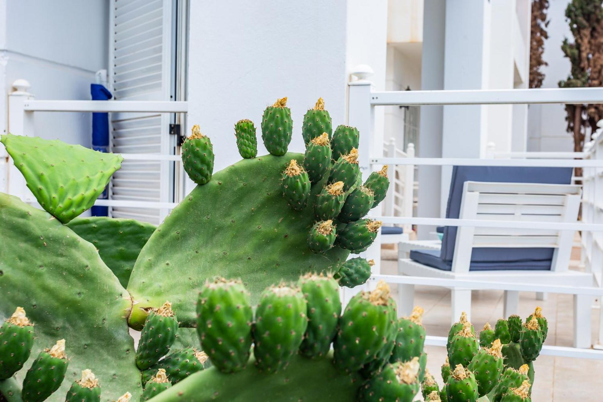 Apartment Bright 5 Minutes Walking From The Beach