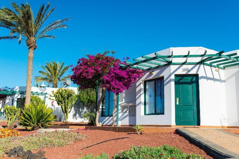 Hl Club Playa Blanca Playa Blanca (Lanzarote)