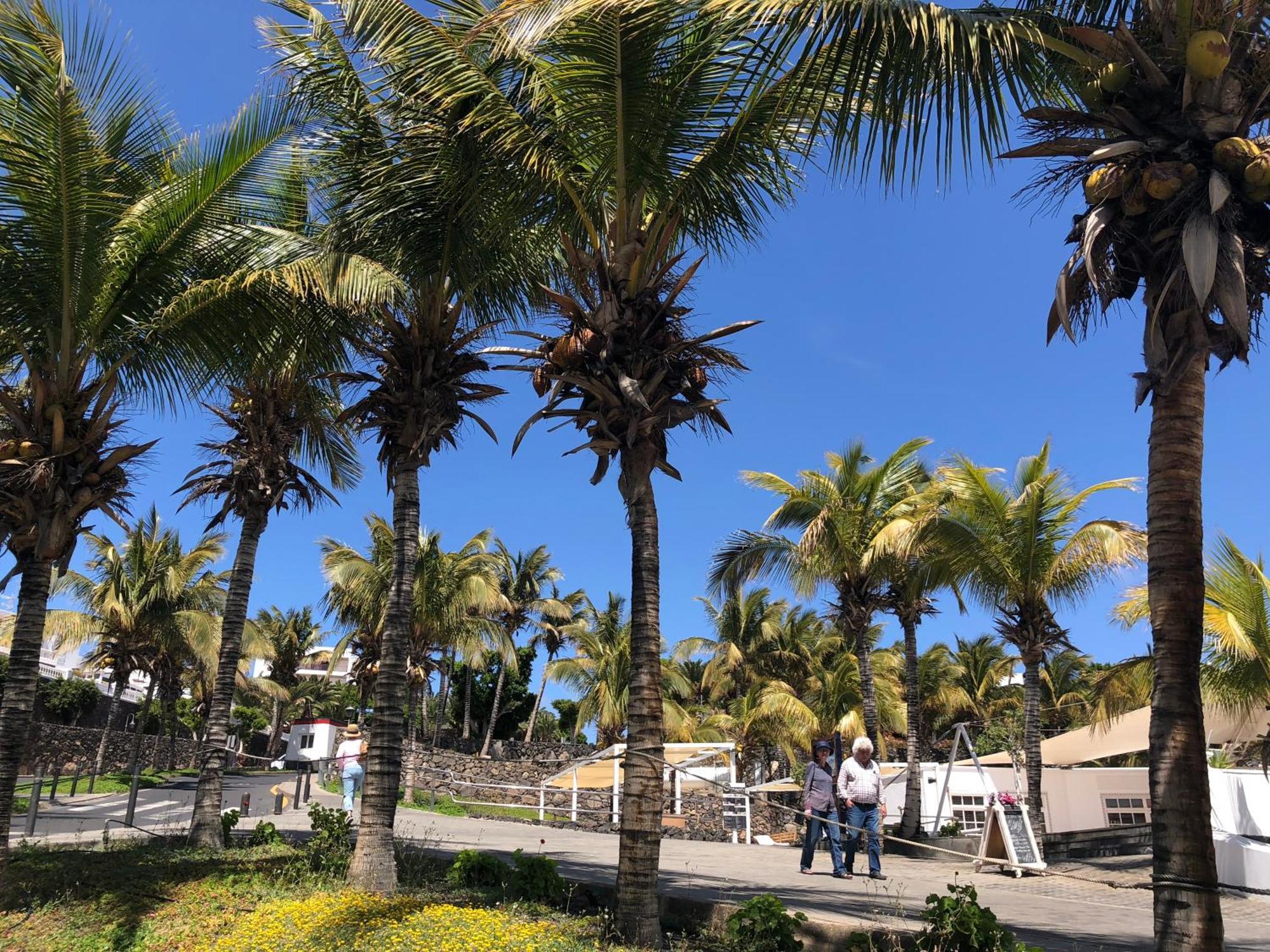 Casa Margarita