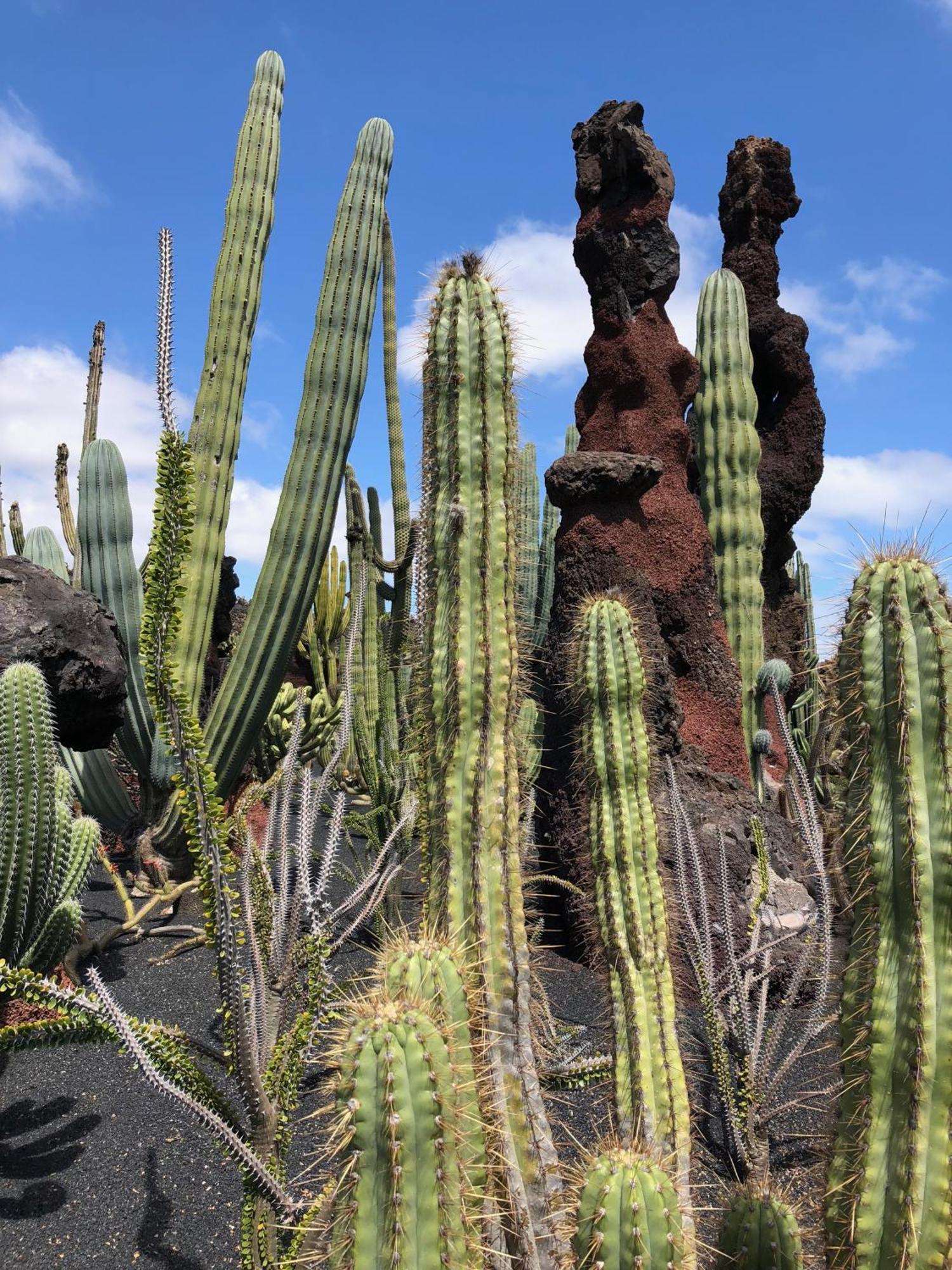 Villa Casa Margarita Punta Mujeres