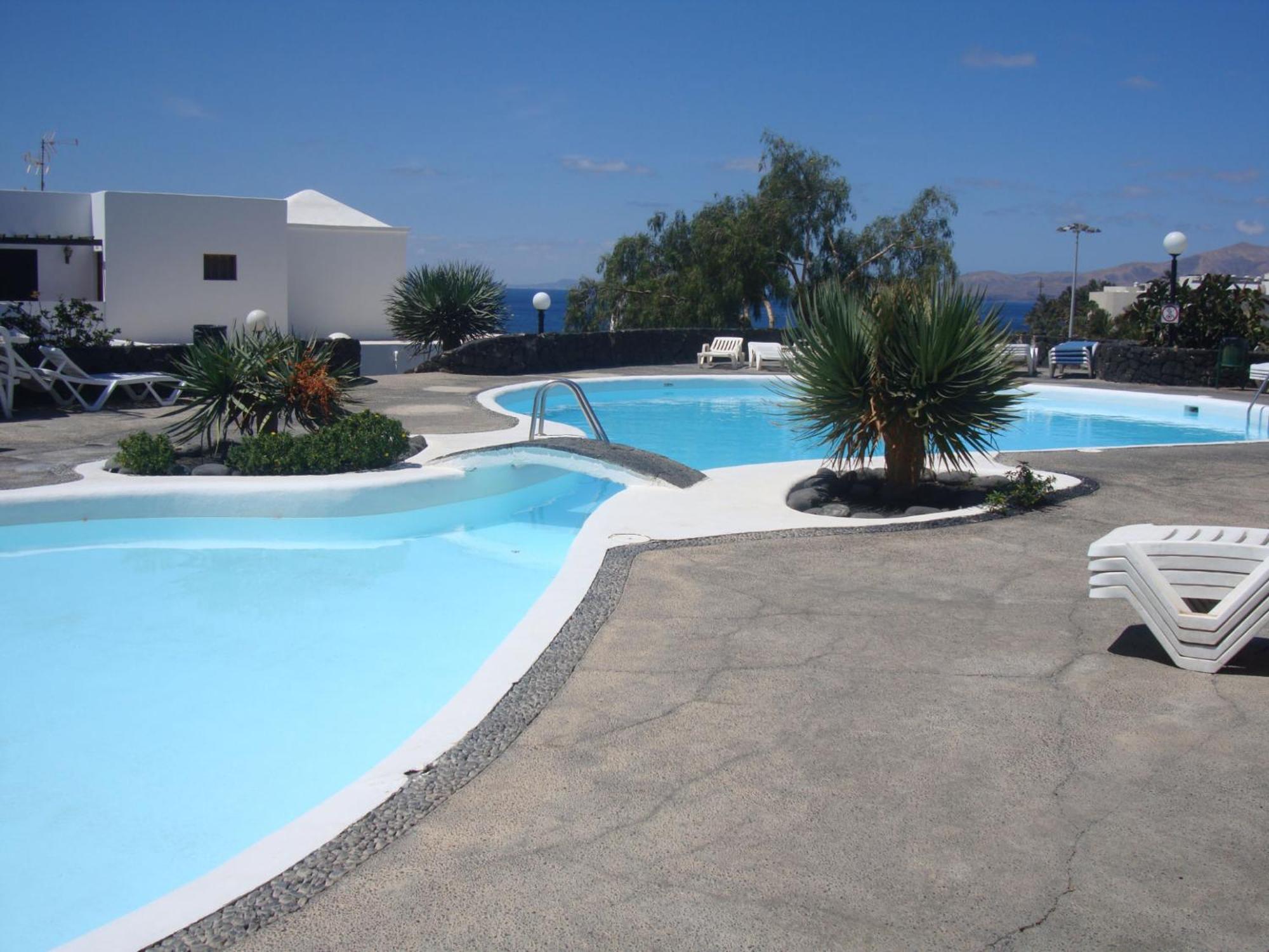 Tabaibas Puerto del Carmen (Lanzarote)