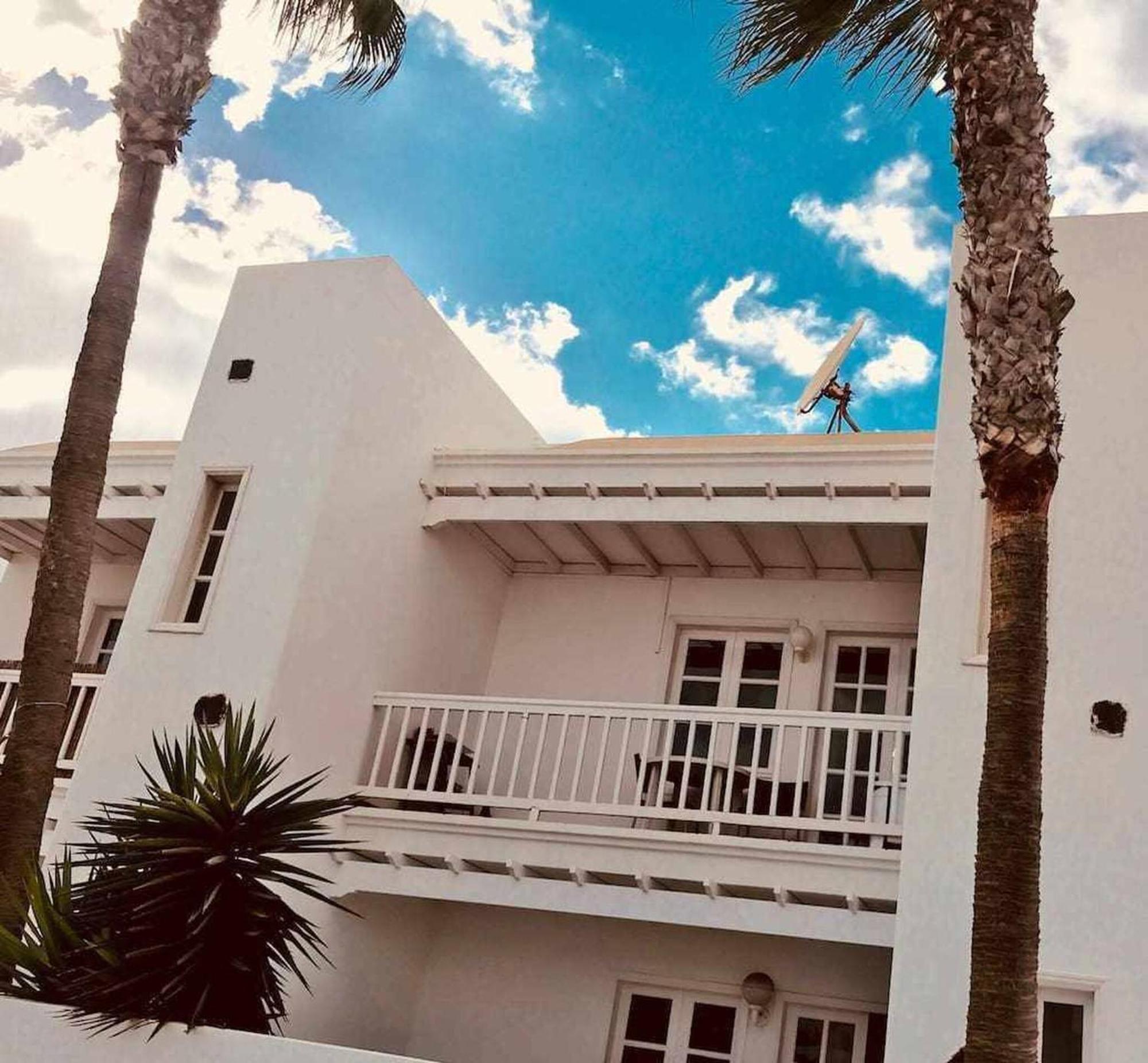 Le Family Palms *