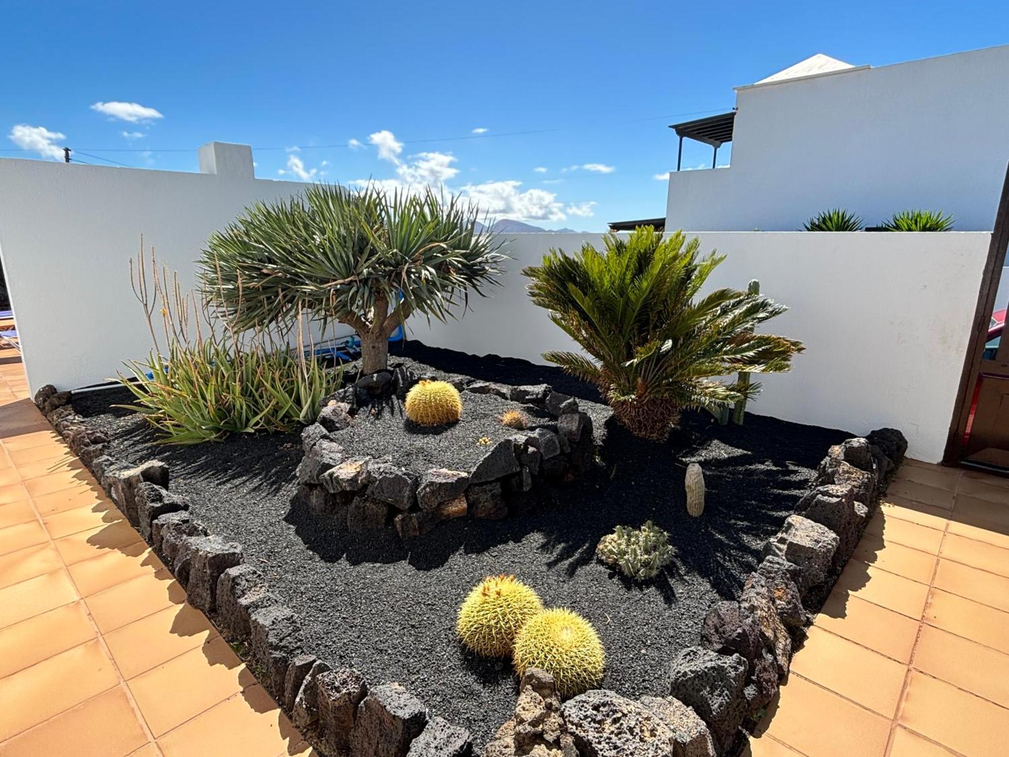 Villa Rincon Oasis