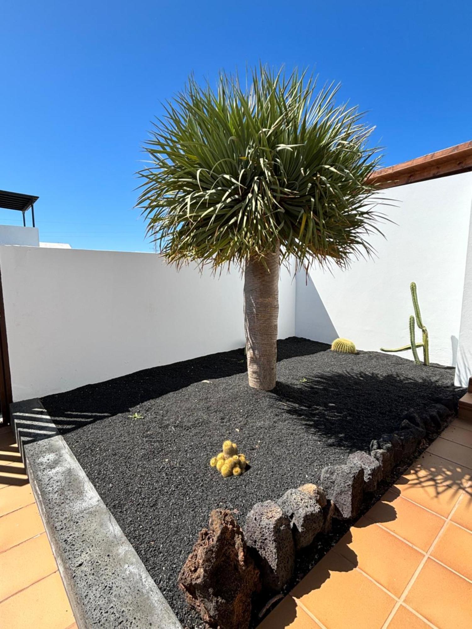 Rincon Oasis Nazaret