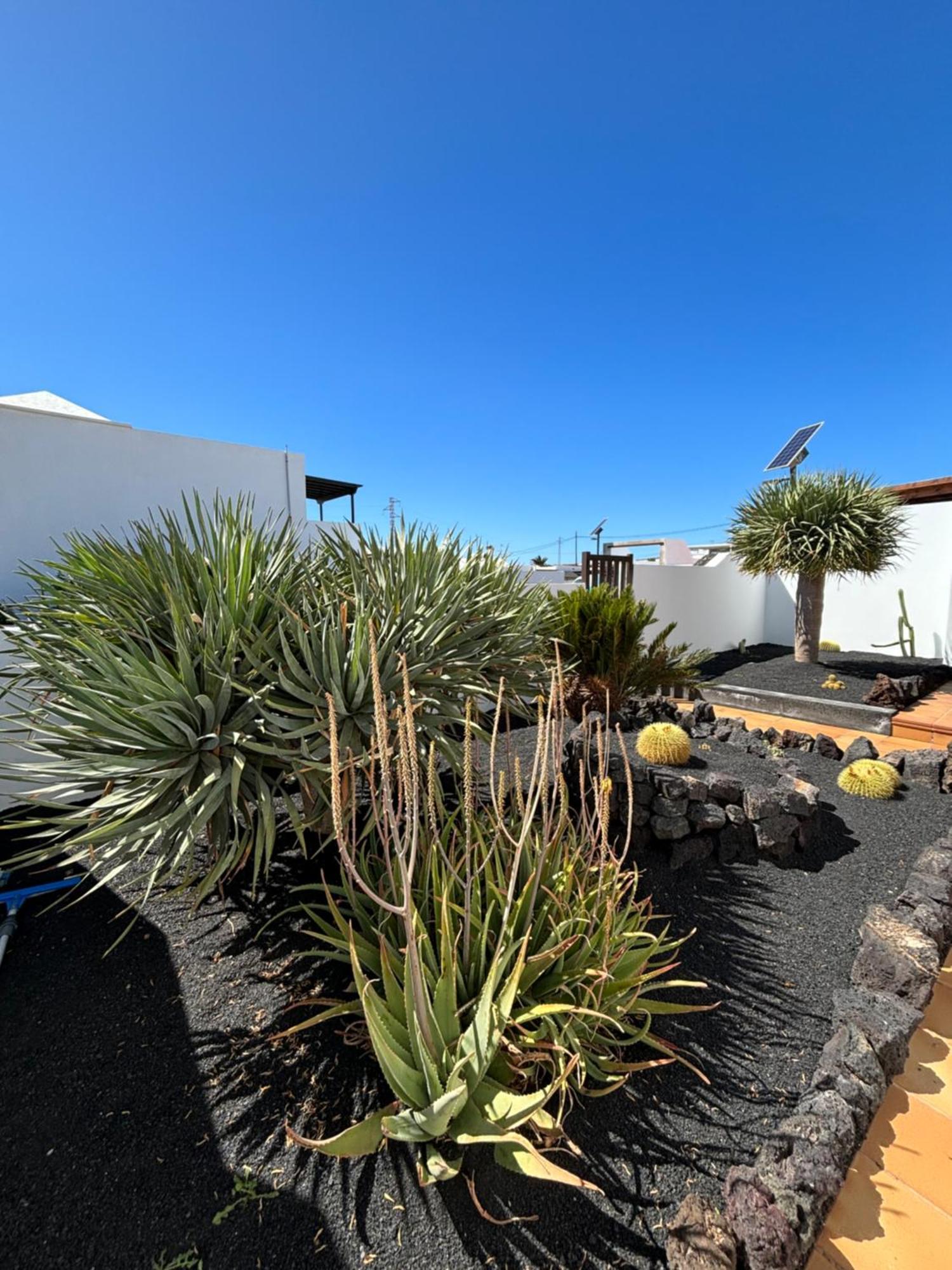 Rincon Oasis Villa