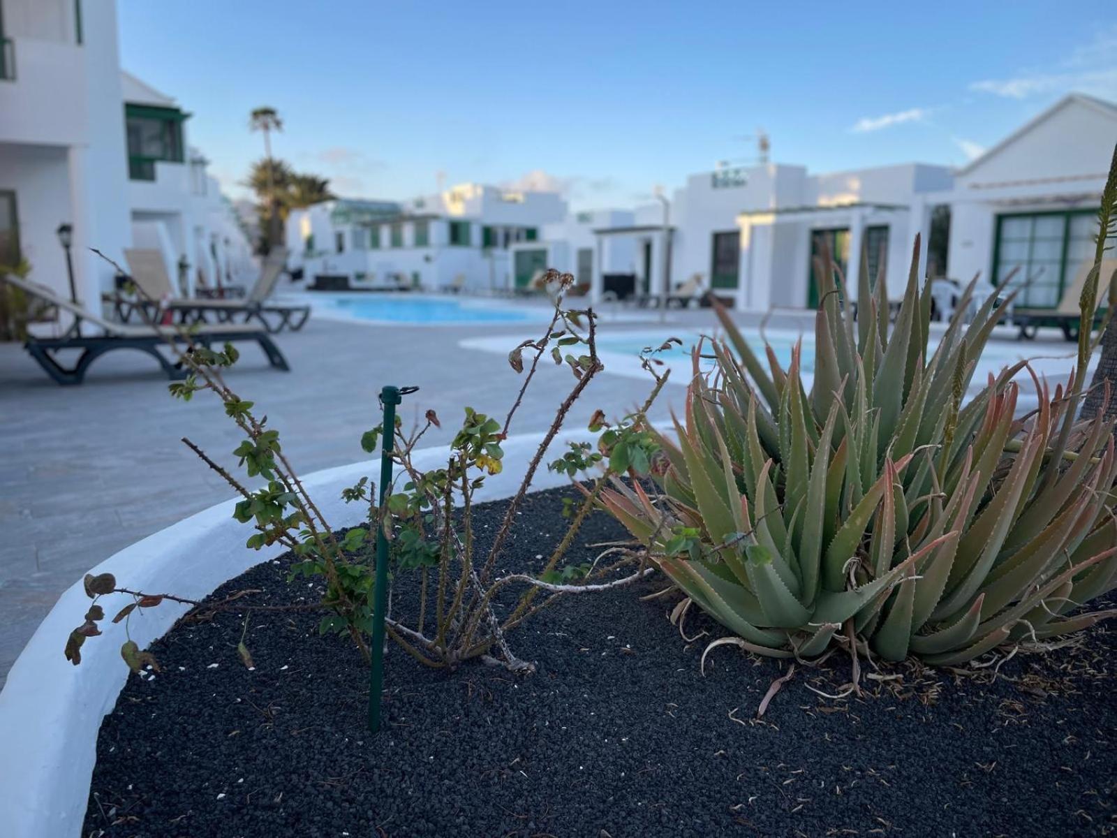 Casa Buganvilla Apartamento Puerto del Carmen (Lanzarote)