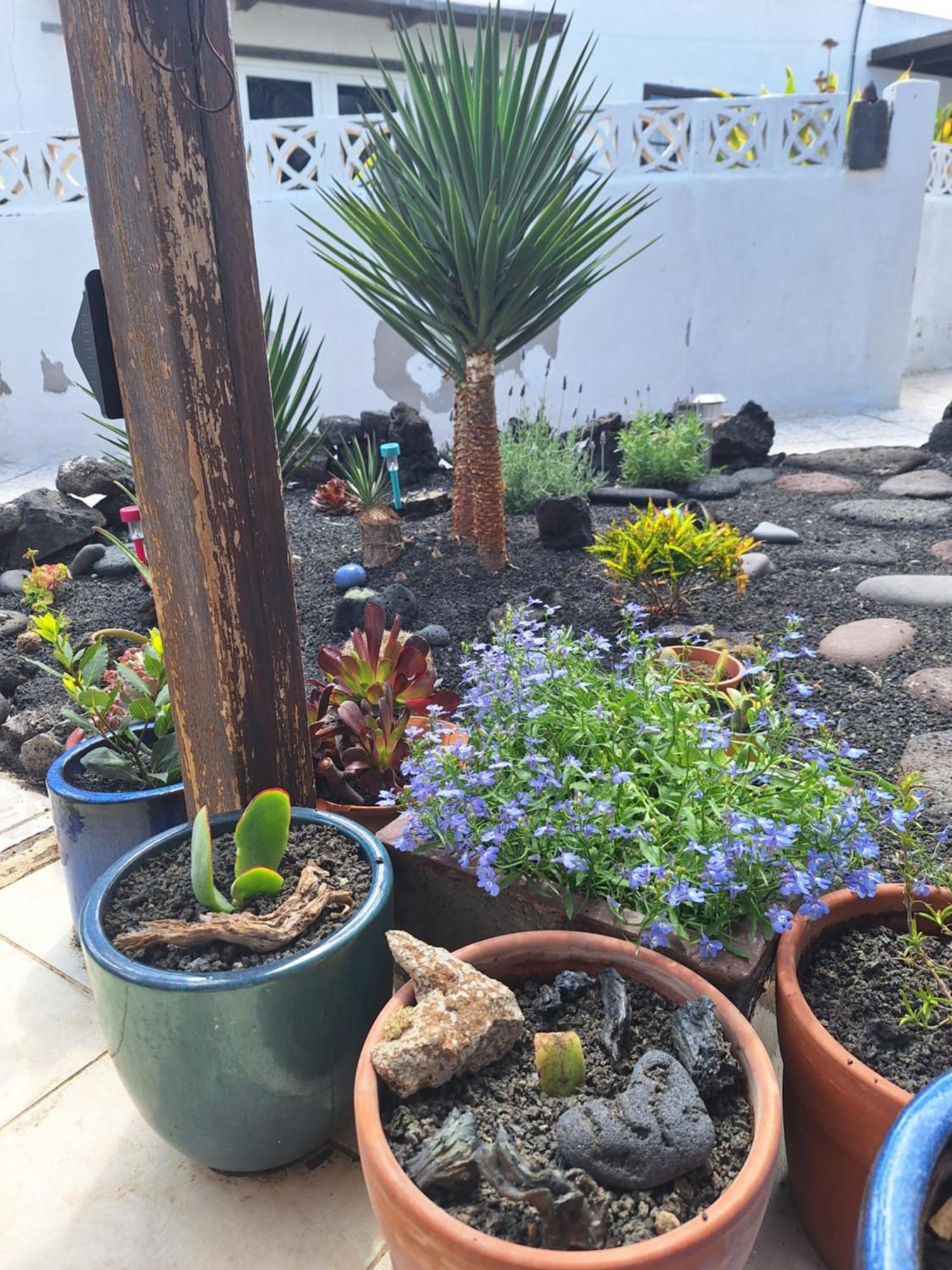 Casita Pequena Lanzarote