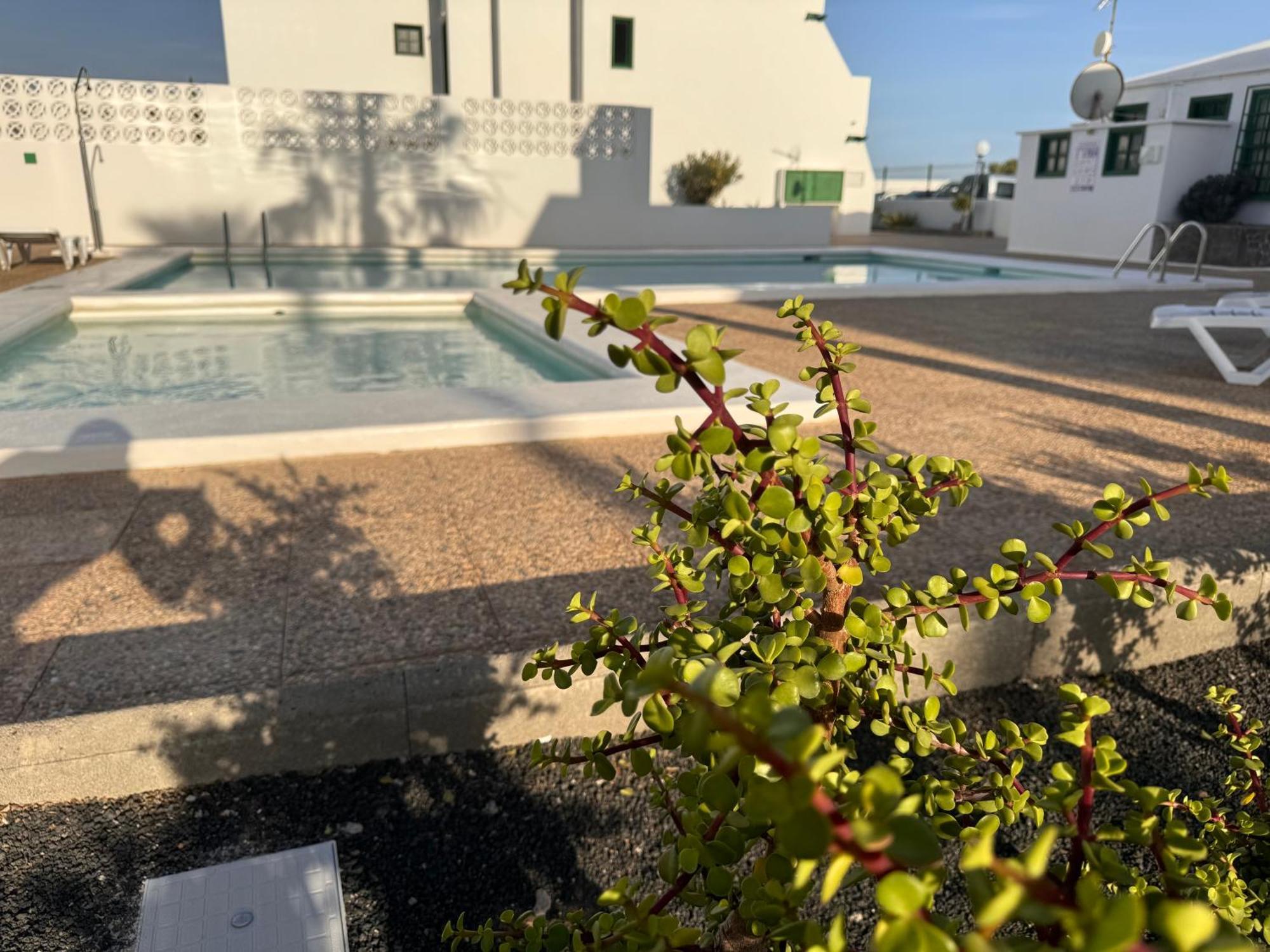 Apartamento Mimosas Puerto del Carmen (Lanzarote)