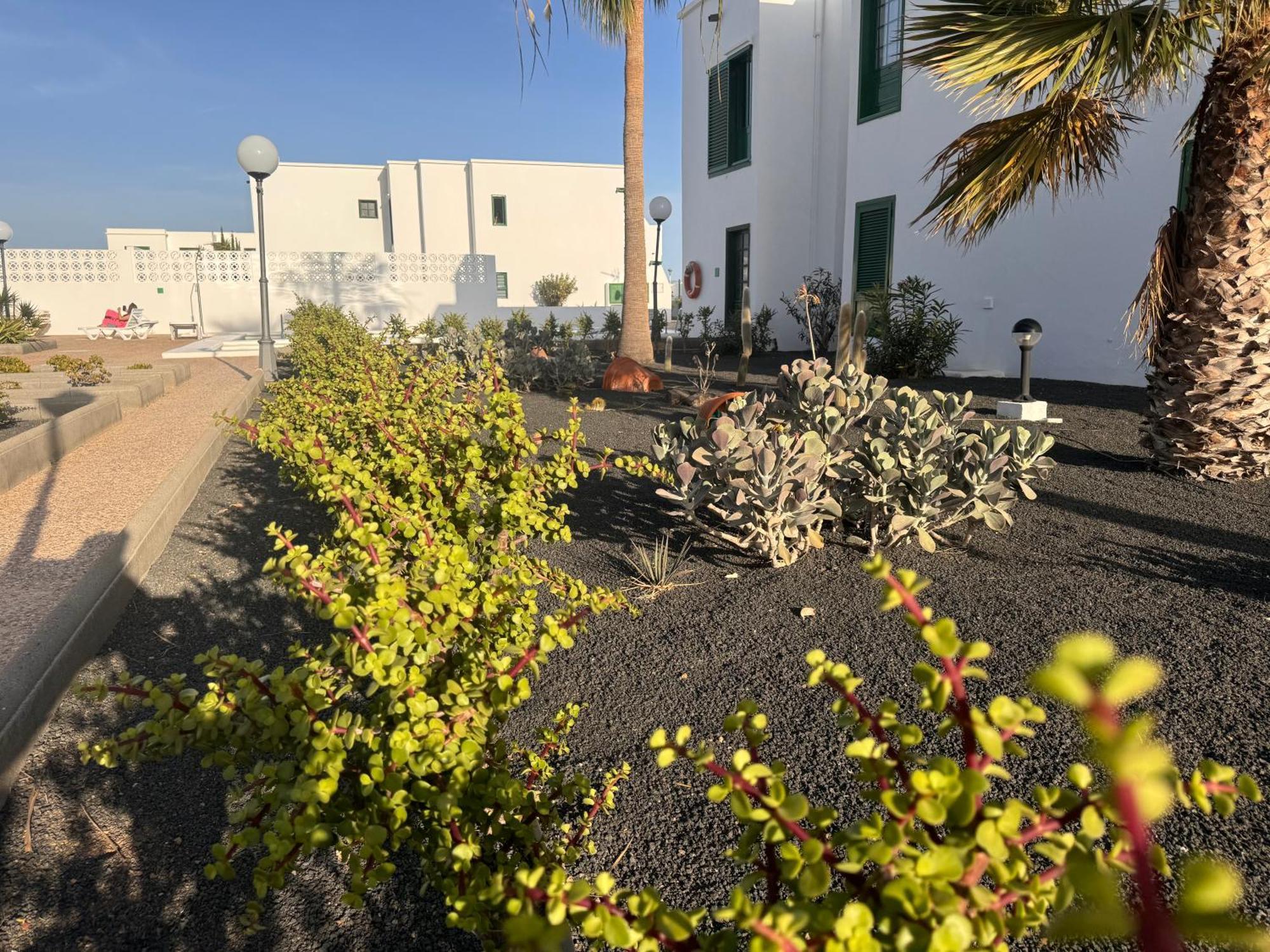 Apartamento Mimosas Puerto del Carmen (Lanzarote)