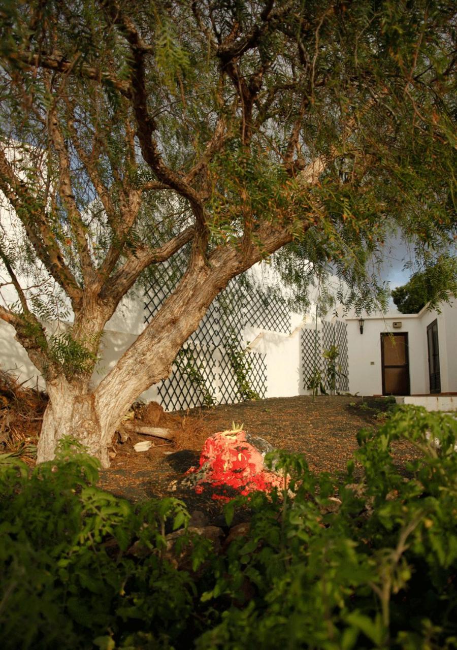 Casa-la-costa *