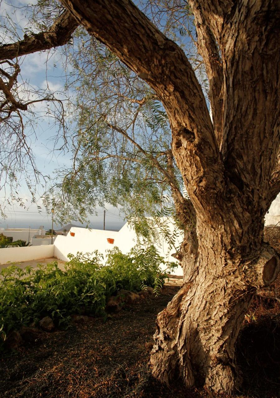 Guest house Casa-la-costa