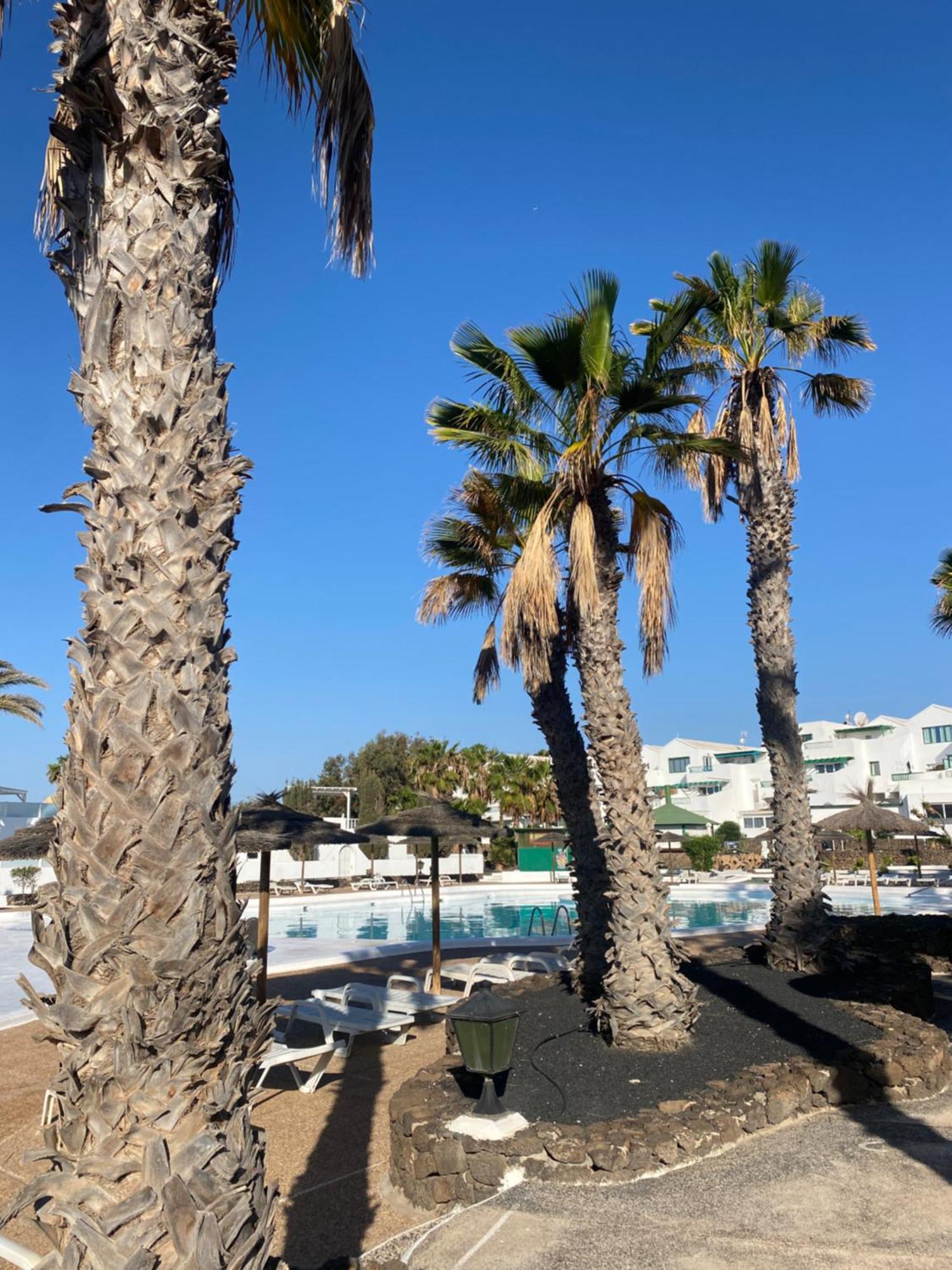 Apartamento First Floor With Sea View,