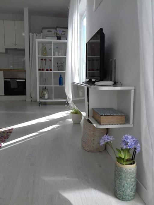 Apartment Sweet - By Az
