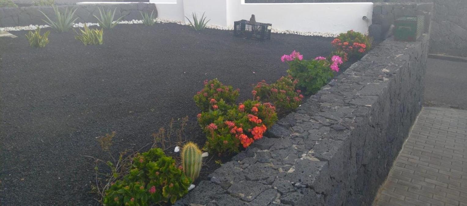 Tranquilidad Entre Volcanes * Uga