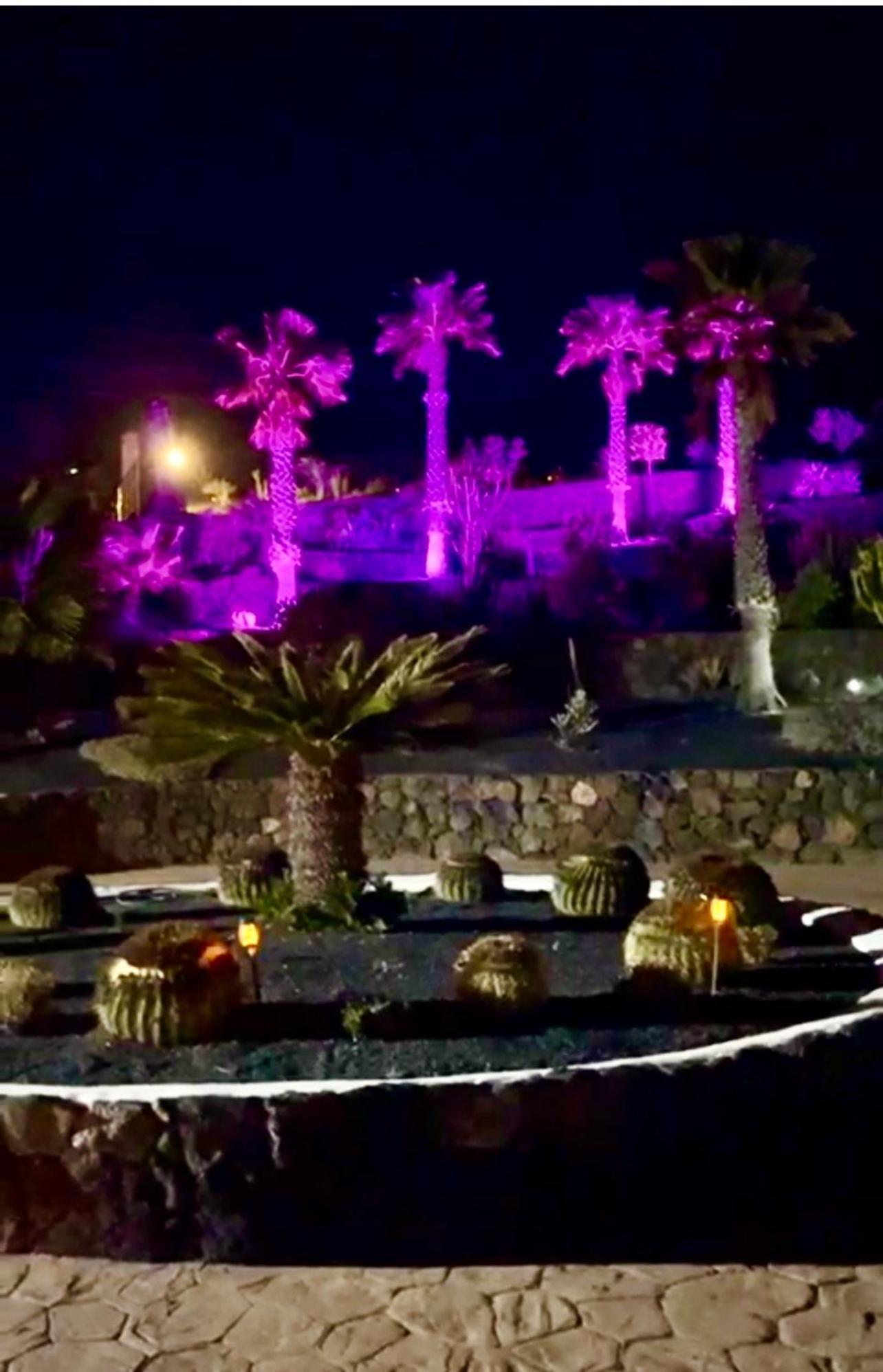 Castillo Lanzarote Winni - Luxury - Pet Friendly With Heated Pool