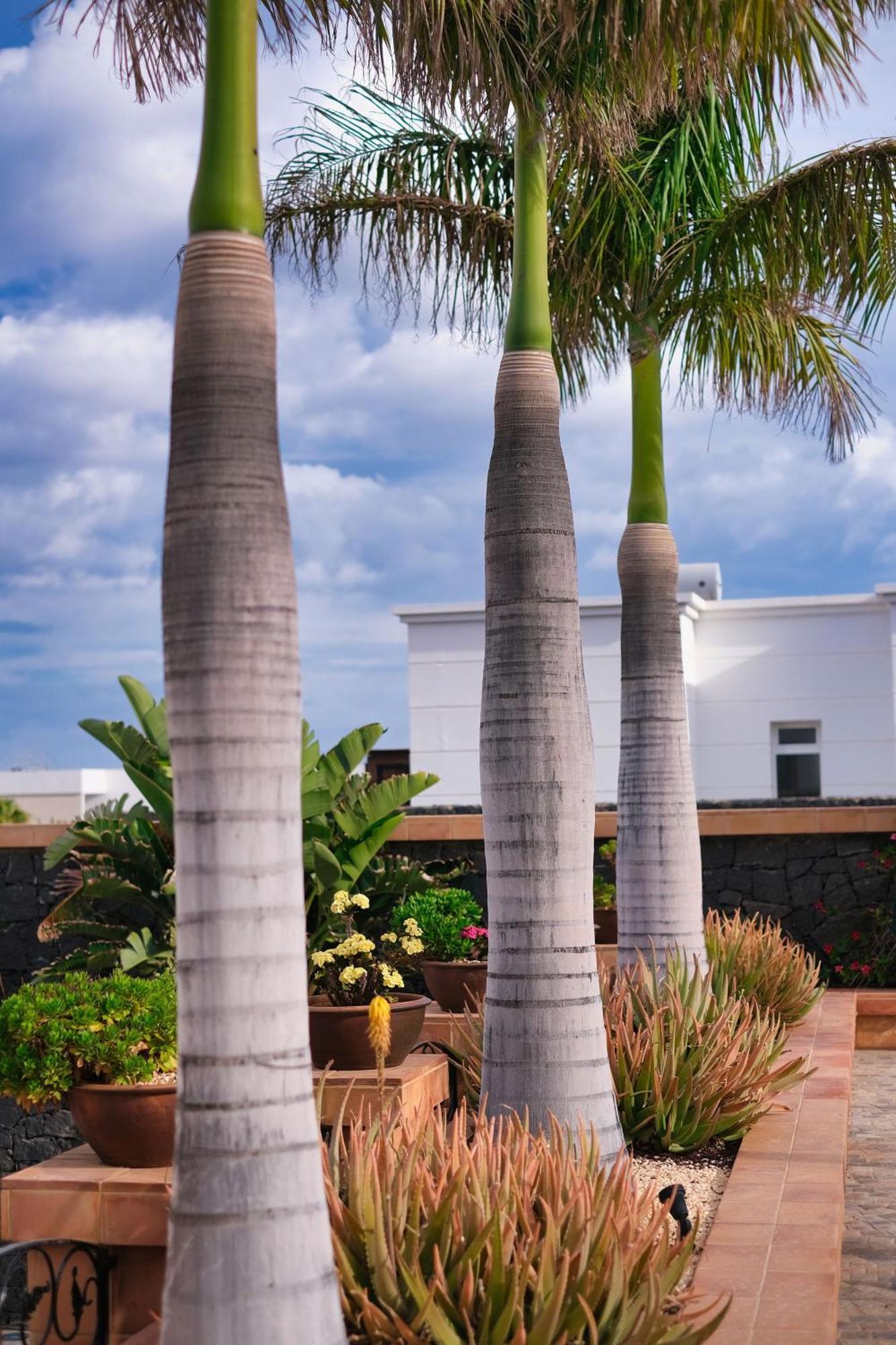 Country house Casa Mia Puerto Calero